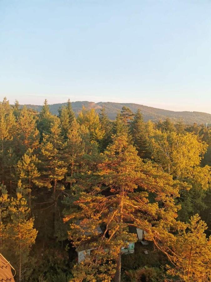 Divcibare Planinski Mir A19 Zewnętrze zdjęcie