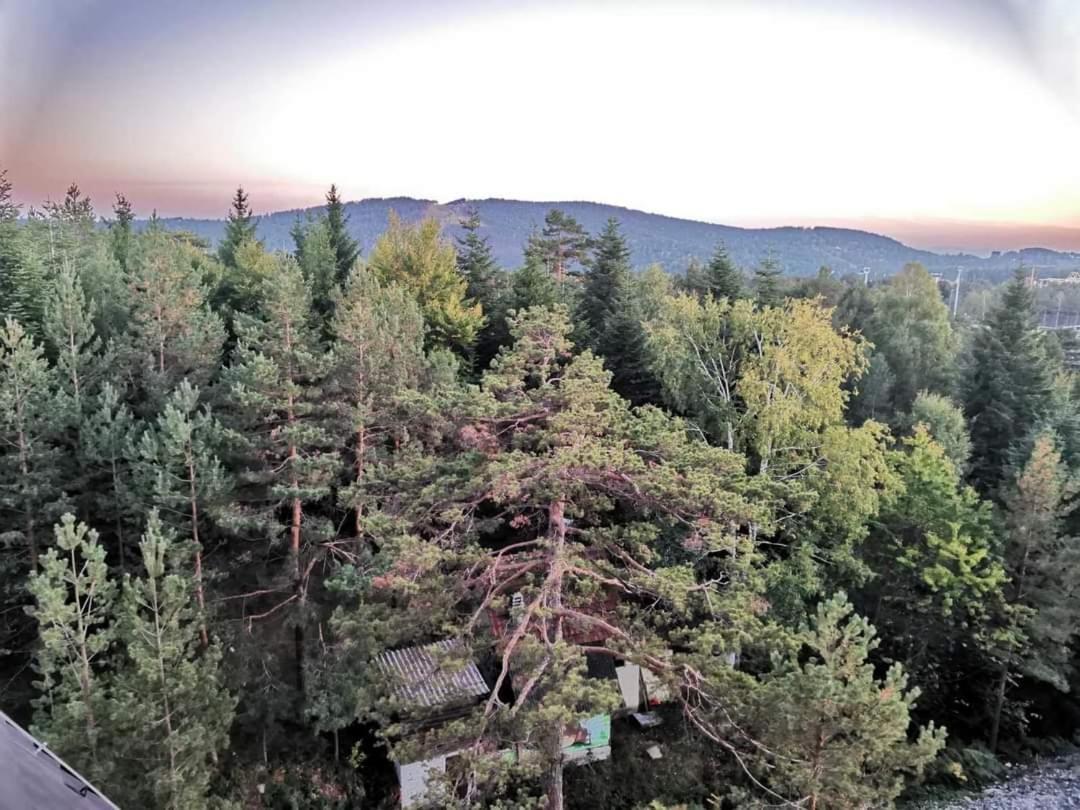 Divcibare Planinski Mir A19 Zewnętrze zdjęcie